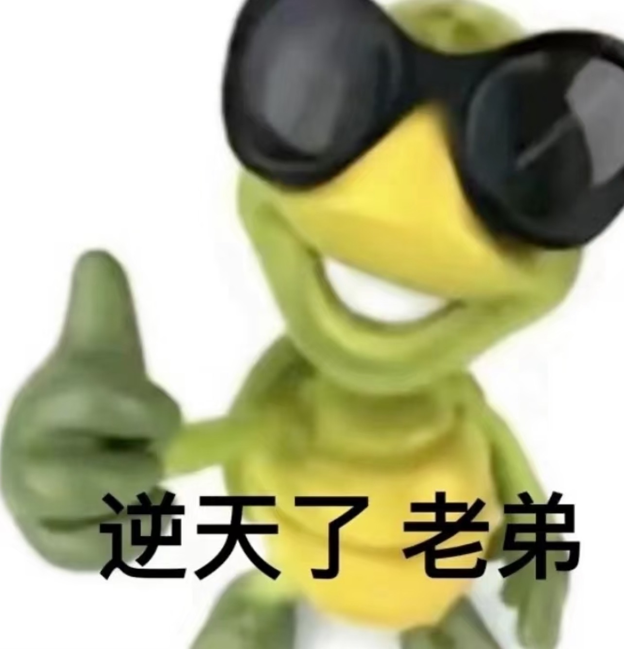 欣桐^c^的图片