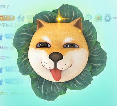 白芷~主播图片