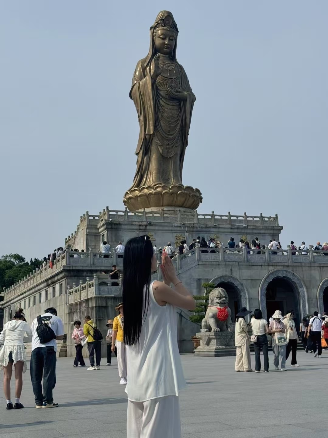 悦悦.求升级的图片