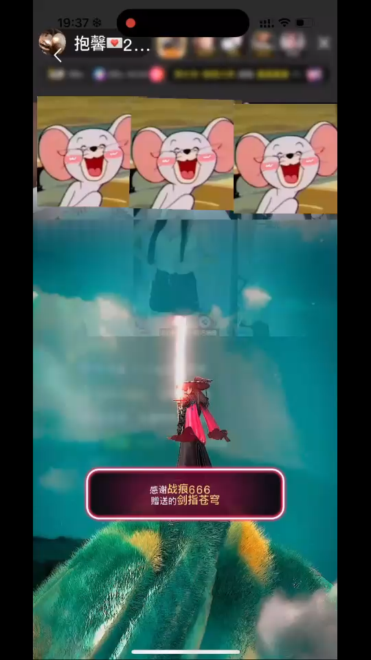 今天是被全天保护的小