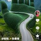 三六九18
