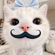 小妮的小熊猫的头像