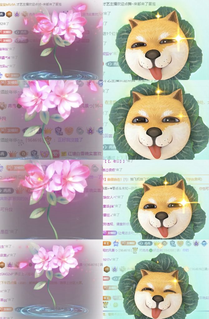 冉冉🍀好运来！的图片