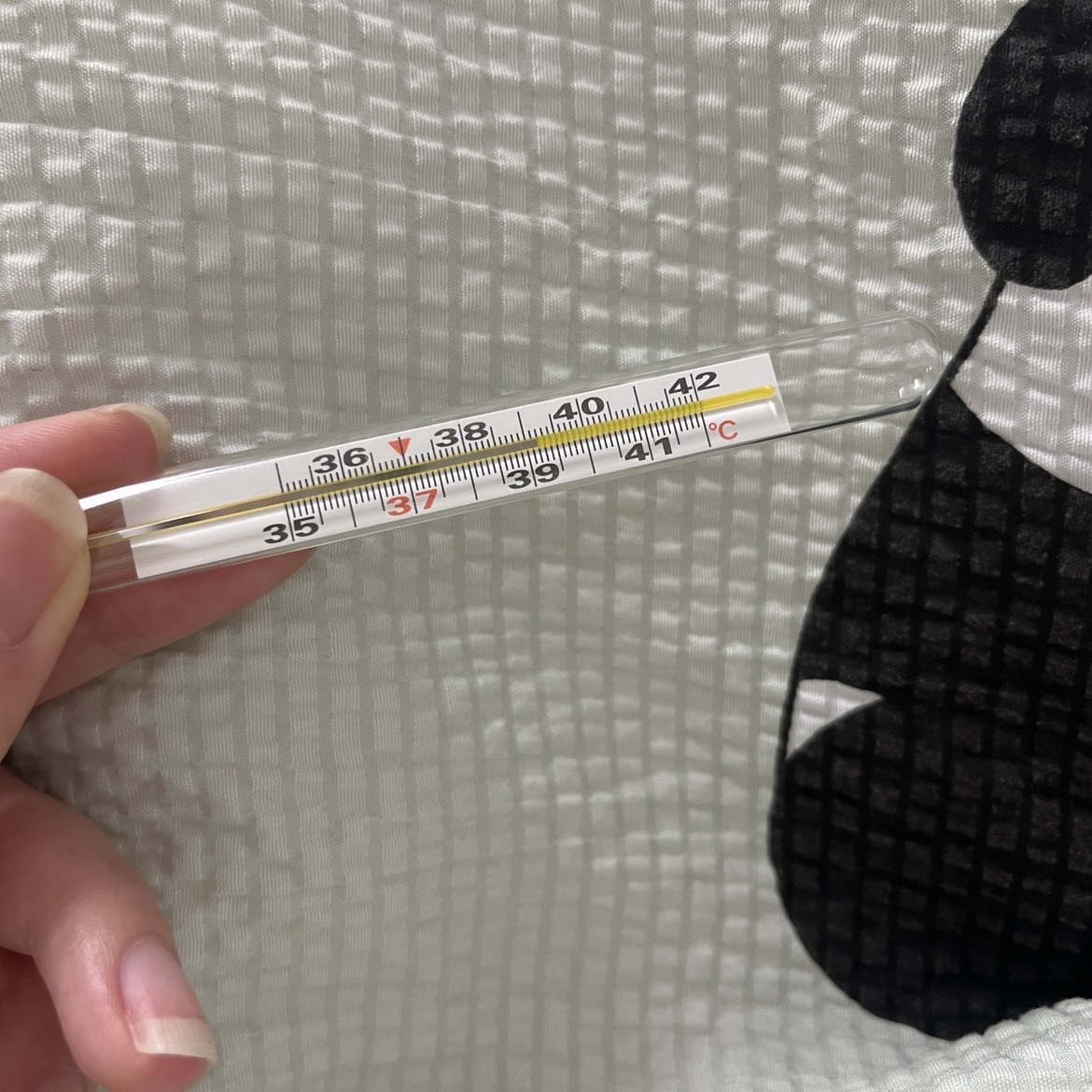 兮瑶吖🍬的图片
