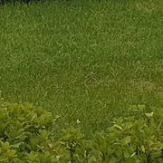 符合v费用