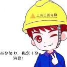 AA💍木秀于林