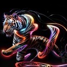 小赵水暖与按卫浴15