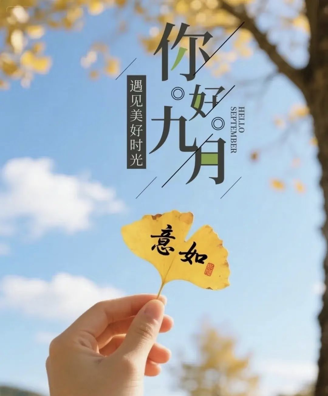 温暖宝宝💰下午外出主播照片