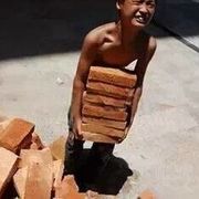 没币的搬砖哥的头像
