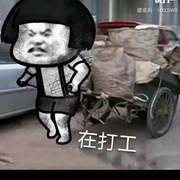 乌龟王八🥚的头像