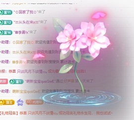 金牌代理❤玲儿❤的图片