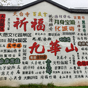 许忠义.的头像