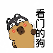 别漾💦轻心的头像