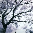 为你欢笑1
