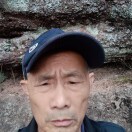 我的好爷爷n