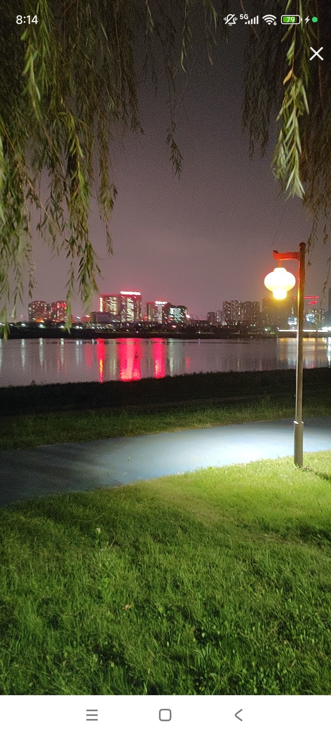 婷婷💕感恩有你陪伴主播图片