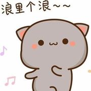 没币浪里个浪