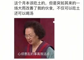 五月代理❀自动秒返的图片
