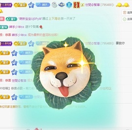 团团🦄梦想升冠的图片