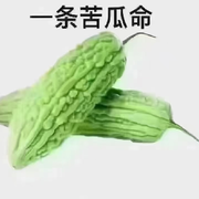 曾经🧚🏿‍♂️