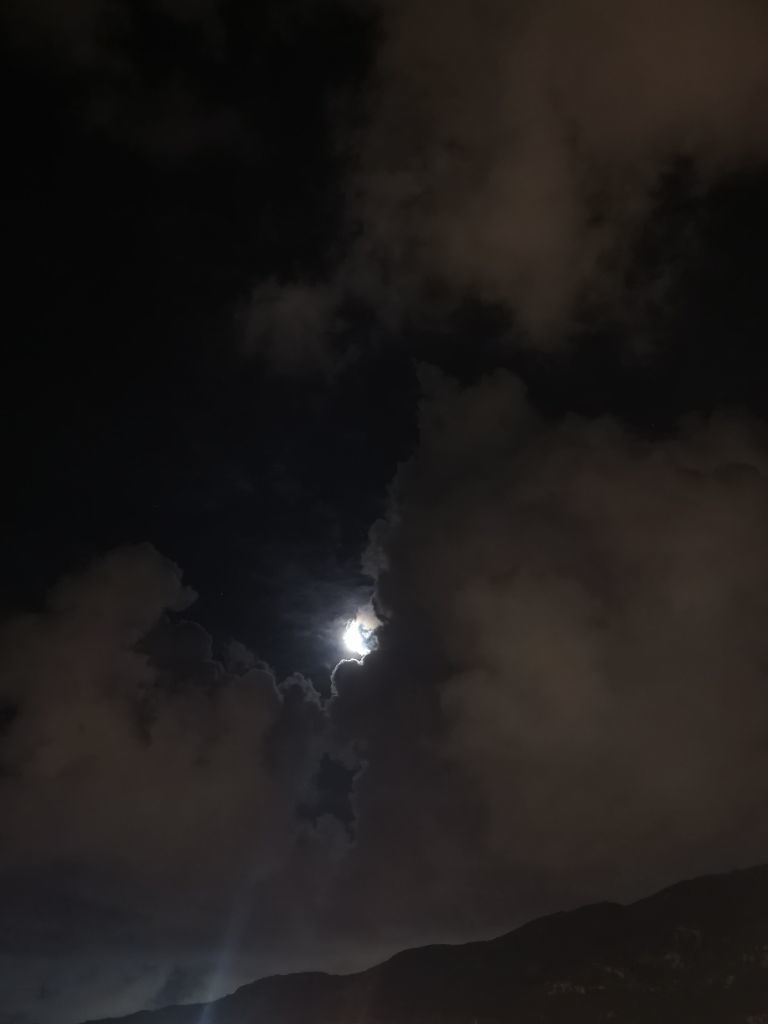 苏北3⃣5⃣🌫主播图片