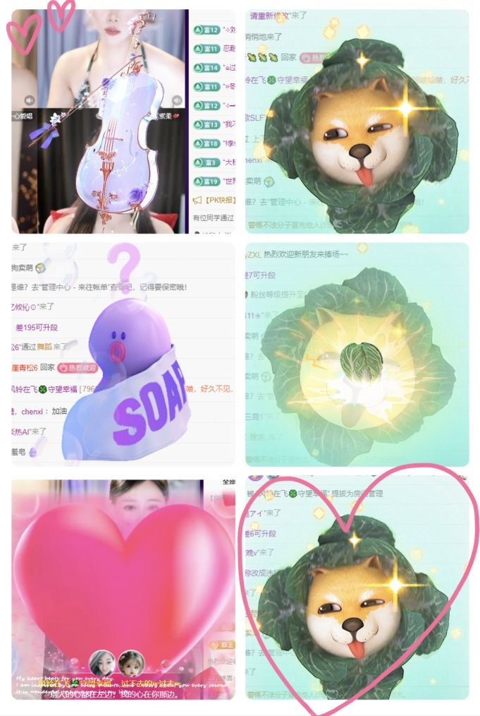 風(fēng)鈴在飛??守望幸福主播圖片
