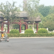砸皮碗杵嘴里