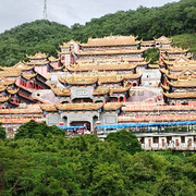 龙虾👑的头像