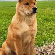 ，！？！，，，的头像