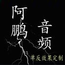 A啊鹏高端视频调试