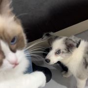 新人六一海报