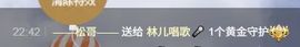 林儿唱歌🎤的图片