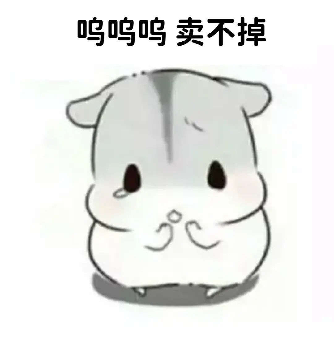 彬彬々无礼主播图片