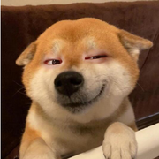 無颜💕海报