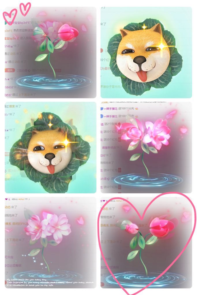 風(fēng)鈴在飛??守望幸福主播圖片