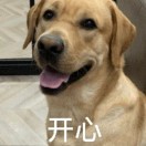 仲盟5