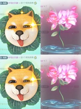 冉冉🍀好运来！主播照片