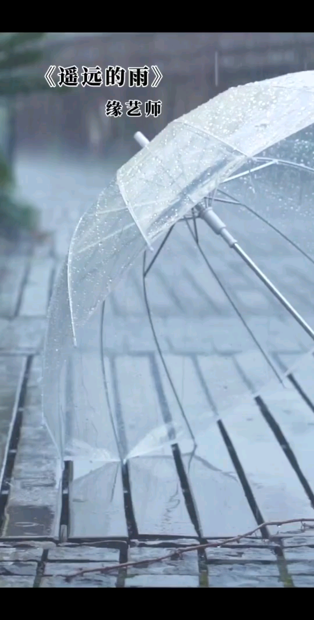 你那里下雨了嗎？