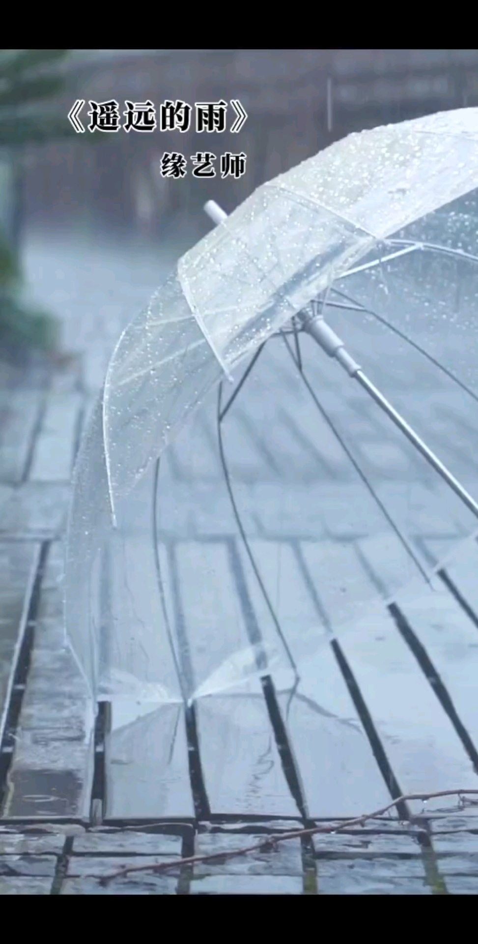 你那里下雨了吗？