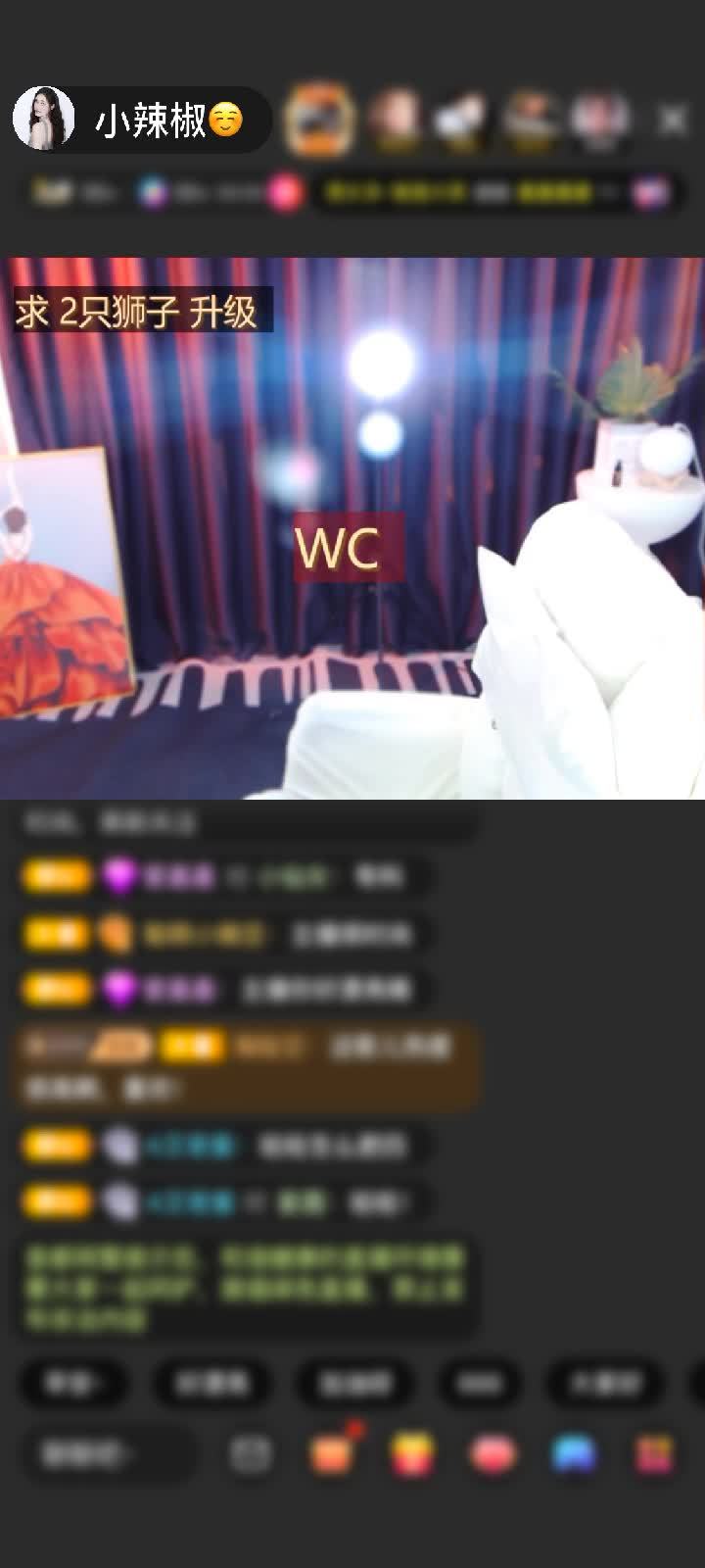 感谢神秘人赠送野狼Disco6个