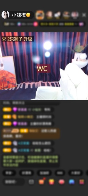感谢神秘人赠送野狼Disco6个