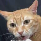 惠普科技有限公司