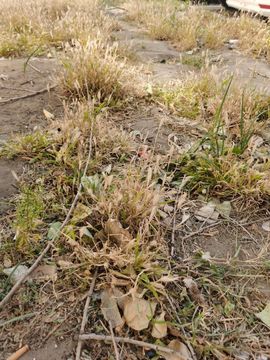 天王盖地虎虎044主播照片