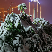 冷风、雪☄海报