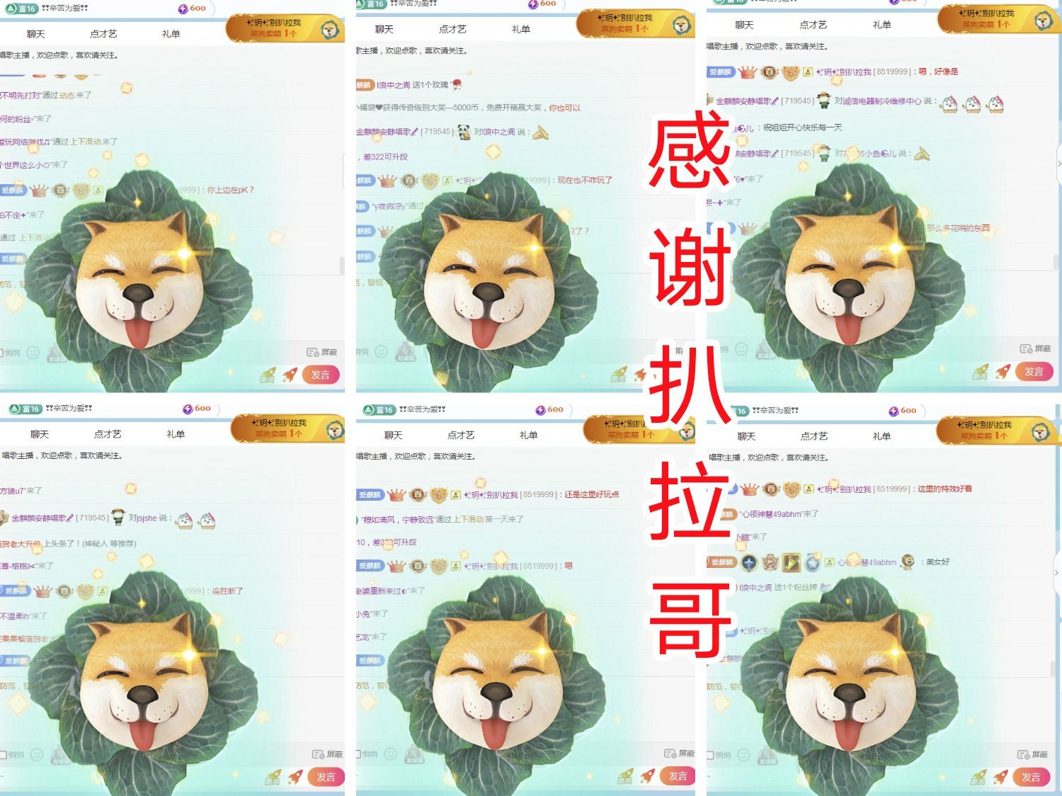 金麒麟安静唱歌🎤主播图片