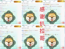 金麒麟安静唱歌🎤主播照片