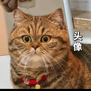 九九不能平静
