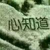 回忆ict