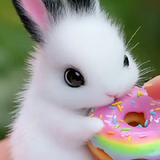 暮暮🌈🌈🌈