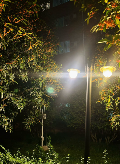 静静子啊海报